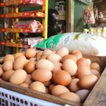 Bisnis Apa yang Menguntungkan